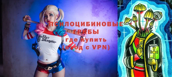 спиды Инсар