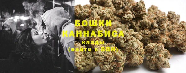 спиды Инсар