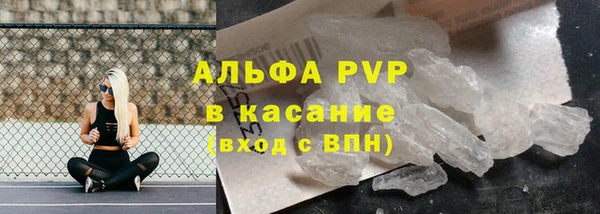 спиды Инсар