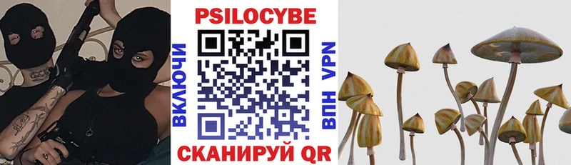 Галлюциногенные грибы MAGIC MUSHROOMS  Купить где  Дмитриев 